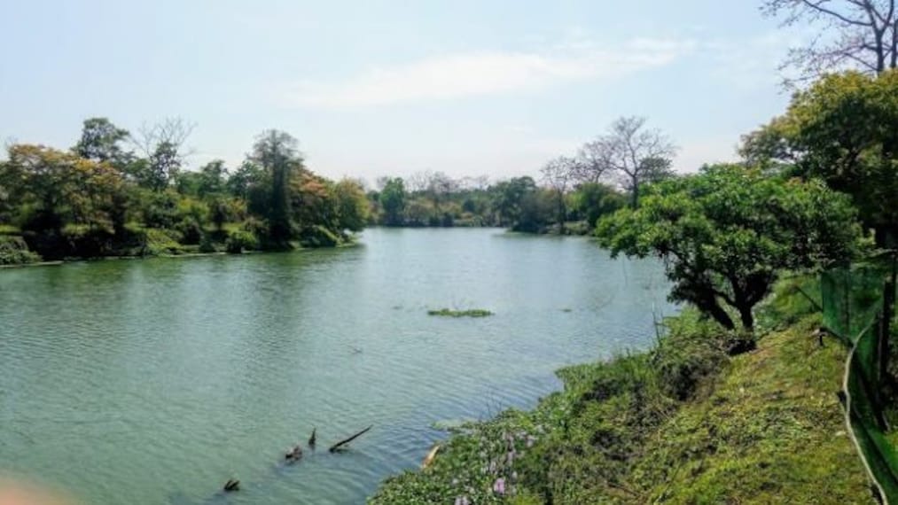 Visit Pobitora Wildlife Sanctuary-3